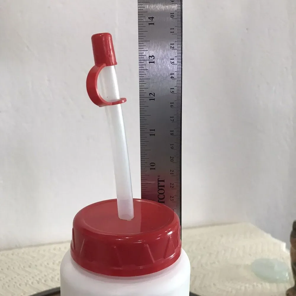 Vintage Disney Mickey Mouse Refillable Water Bottle W/ Straw Mickey By The Pool